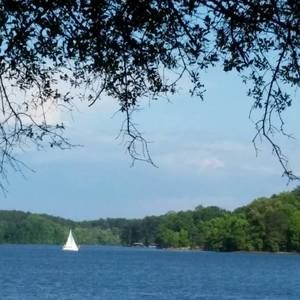 Meet your Posher, Glenda